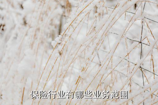 保險(xiǎn)行業(yè)有哪些業(yè)務(wù)范圍