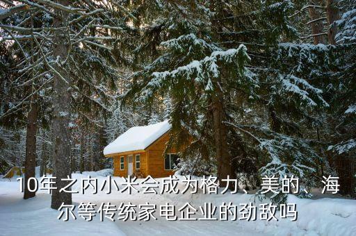 10年之內(nèi)小米會成為格力、美的、海爾等傳統(tǒng)家電企業(yè)的勁敵嗎