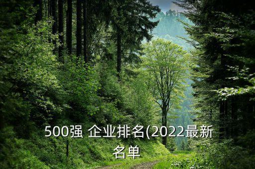  500強 企業(yè)排名(2022最新名單