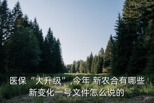 醫(yī)?！按笊墶?今年 新農(nóng)合有哪些新變化一號文件怎么說的