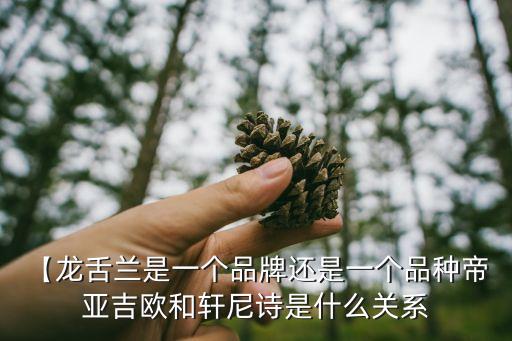 【龍舌蘭是一個(gè)品牌還是一個(gè)品種帝 亞吉?dú)W和軒尼詩(shī)是什么關(guān)系