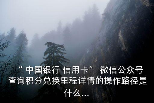 “ 中國銀行 信用卡” 微信公眾號 查詢積分兌換里程詳情的操作路徑是什么...