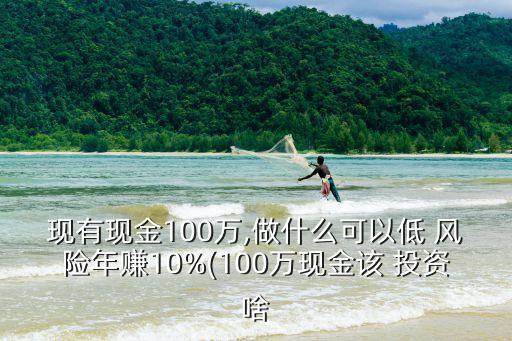 現(xiàn)有現(xiàn)金100萬,做什么可以低 風(fēng)險年賺10%(100萬現(xiàn)金該 投資啥