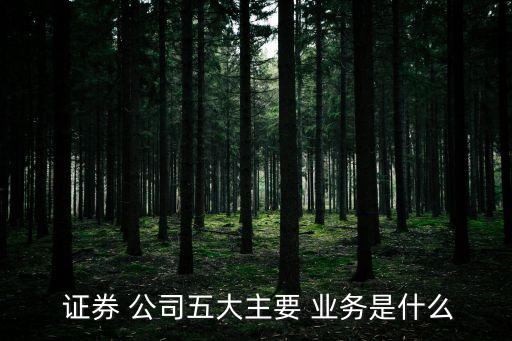  證券 公司五大主要 業(yè)務(wù)是什么