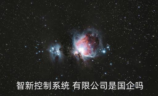  智新控制系統(tǒng) 有限公司是國(guó)企嗎