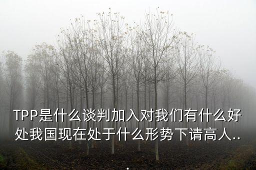 TPP是什么談判加入對我們有什么好處我國現(xiàn)在處于什么形勢下請高人...