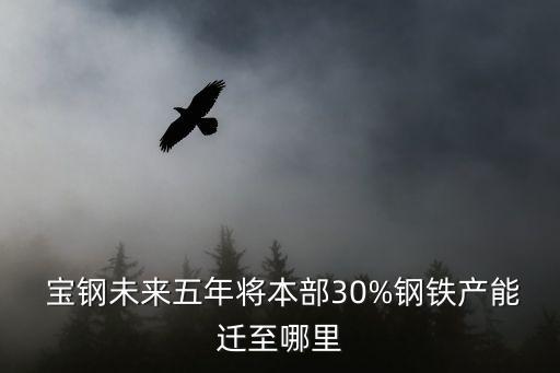  寶鋼未來(lái)五年將本部30%鋼鐵產(chǎn)能遷至哪里