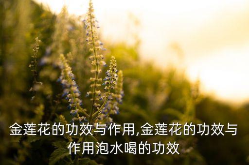 北京金芙蓉投資基金