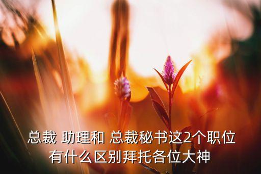  總裁 助理和 總裁秘書這2個(gè)職位有什么區(qū)別拜托各位大神