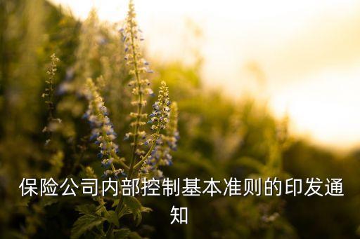  保險公司內(nèi)部控制基本準(zhǔn)則的印發(fā)通知