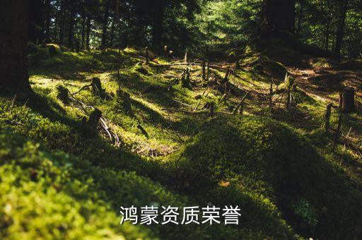 鴻蒙資質(zhì)榮譽(yù)