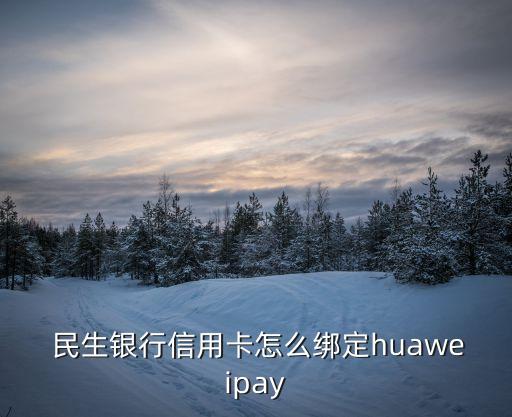  民生銀行信用卡怎么綁定huaweipay