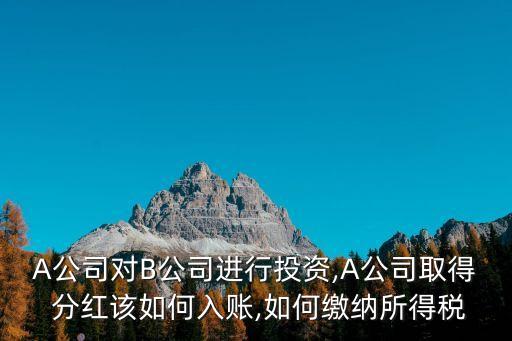 A公司對B公司進行投資,A公司取得 分紅該如何入賬,如何繳納所得稅