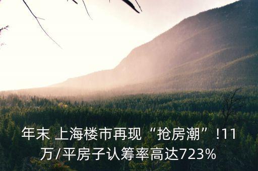 年末 上海樓市再現(xiàn)“搶房潮”!11萬/平房子認籌率高達723%