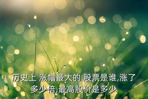 歷史上 漲幅最大的 股票是誰(shuí),漲了多少倍,最高股價(jià)是多少