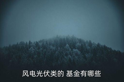 風(fēng)電光伏類(lèi)的 基金有哪些