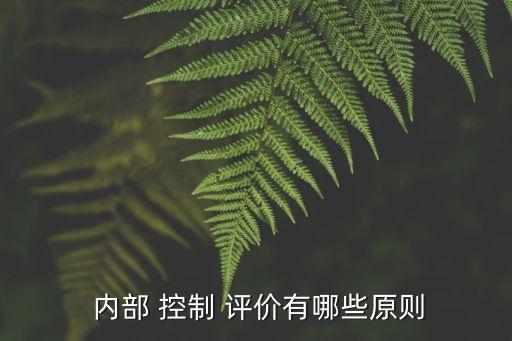 集團性企業(yè)內(nèi)部控制重點評價范圍,企業(yè)成本費用內(nèi)部控制的重點在于