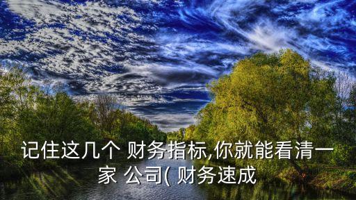 記住這幾個 財務指標,你就能看清一家 公司( 財務速成