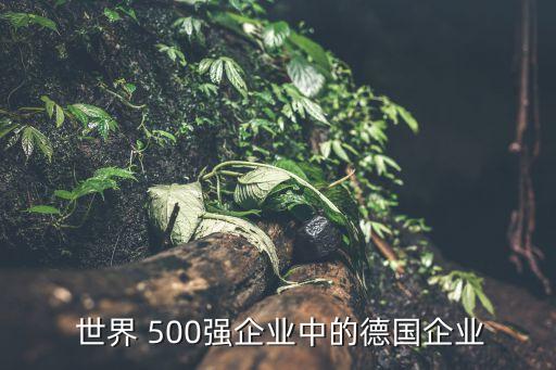  世界 500強(qiáng)企業(yè)中的德國企業(yè)