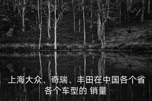  上海大眾、奇瑞、豐田在中國各個省各個車型的 銷量