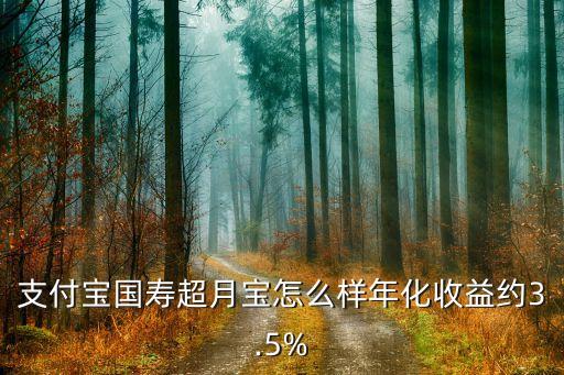 支付寶國(guó)壽超月寶怎么樣年化收益約3.5%