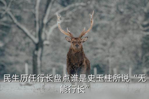 民生歷任行長(zhǎng)盤(pán)點(diǎn)誰(shuí)是史玉柱所說(shuō)“無(wú)能行長(zhǎng)”