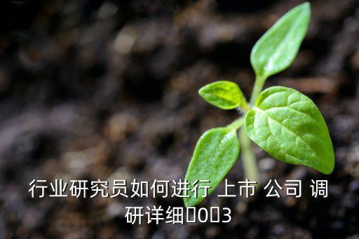 行業(yè)研究員如何進(jìn)行 上市 公司 調(diào)研詳細(xì)?0?3