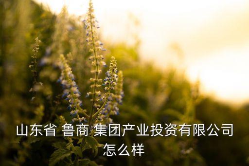 山東省 魯商 集團產(chǎn)業(yè)投資有限公司怎么樣