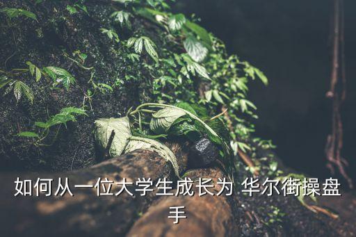 如何從一位大學(xué)生成長為 華爾街操盤手