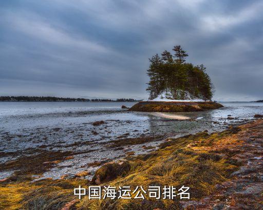 中國海運公司排名