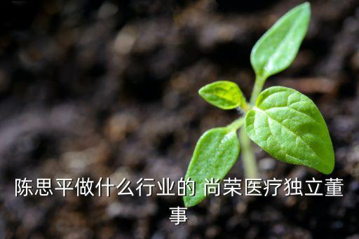 陳思平做什么行業(yè)的 尚榮醫(yī)療獨立董事