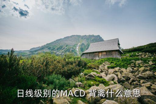  日線級別的MACD 背離什么意思