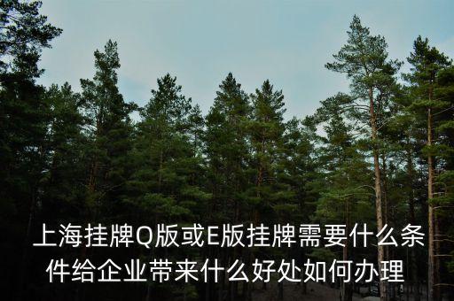  上海掛牌Q版或E版掛牌需要什么條件給企業(yè)帶來(lái)什么好處如何辦理