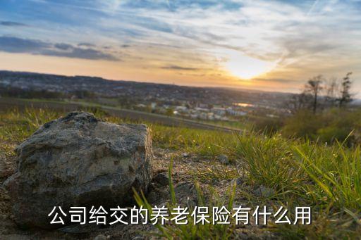 公司給交的養(yǎng)老保險有什么用