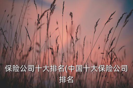 保險(xiǎn)公司十大排名(中國十大保險(xiǎn)公司排名