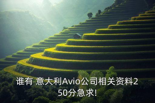 誰有 意大利Avio公司相關(guān)資料250分急求!