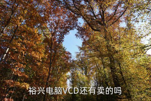 裕興電腦VCD還有賣的嗎