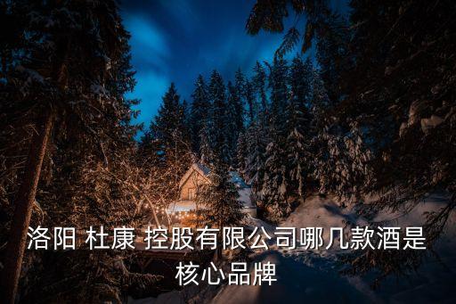 洛陽(yáng) 杜康 控股有限公司哪幾款酒是核心品牌