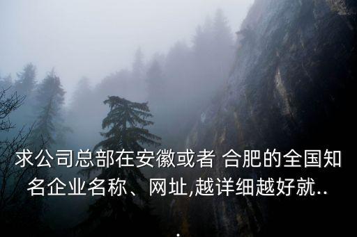 求公司總部在安徽或者 合肥的全國知名企業(yè)名稱、網址,越詳細越好就...