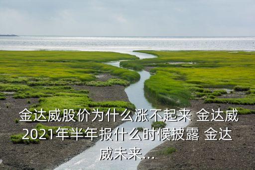  金達(dá)威股價(jià)為什么漲不起來 金達(dá)威2021年半年報(bào)什么時(shí)候披露 金達(dá)威未來...