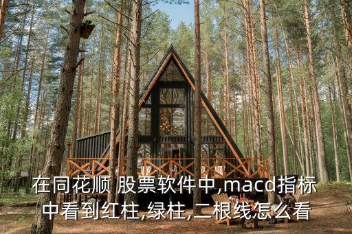 在同花順 股票軟件中,macd指標(biāo)中看到紅柱,綠柱,二根線怎么看