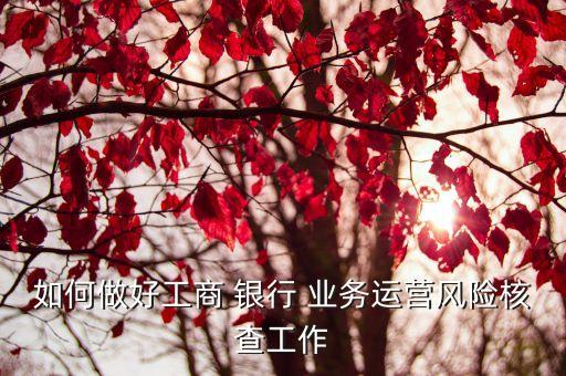 如何做好工商 銀行 業(yè)務(wù)運(yùn)營(yíng)風(fēng)險(xiǎn)核查工作