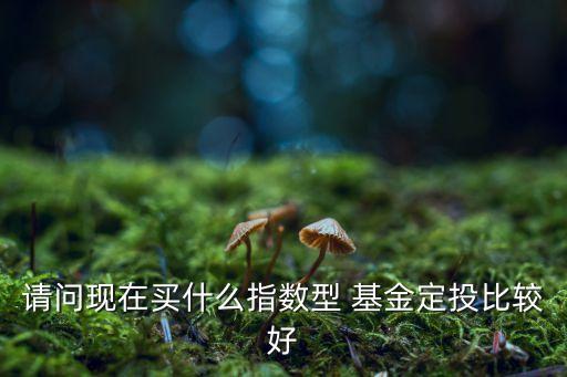 請問現(xiàn)在買什么指數(shù)型 基金定投比較好