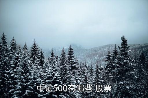 中證500有哪些 股票