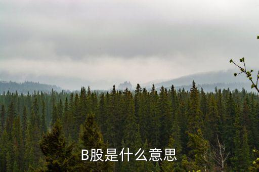 B股是什么意思