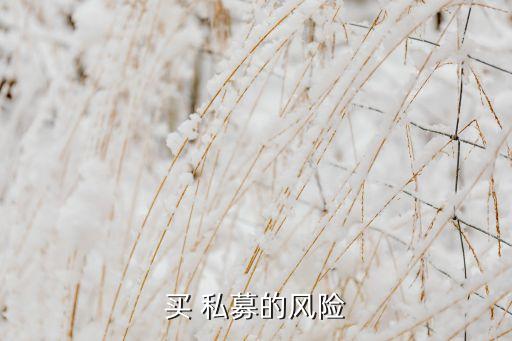 買 私募的風(fēng)險(xiǎn)