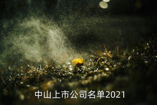  中山上市公司名單2021