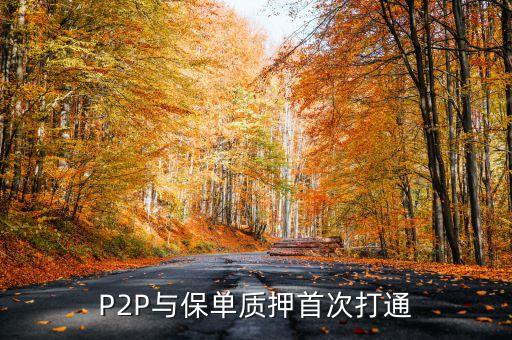 P2P與保單質押首次打通