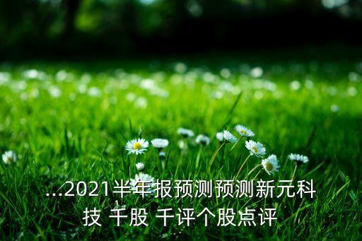 ...2021半年報(bào)預(yù)測預(yù)測新元科技 千股 千評個(gè)股點(diǎn)評