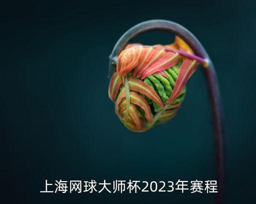  上海網(wǎng)球大師杯2023年賽程